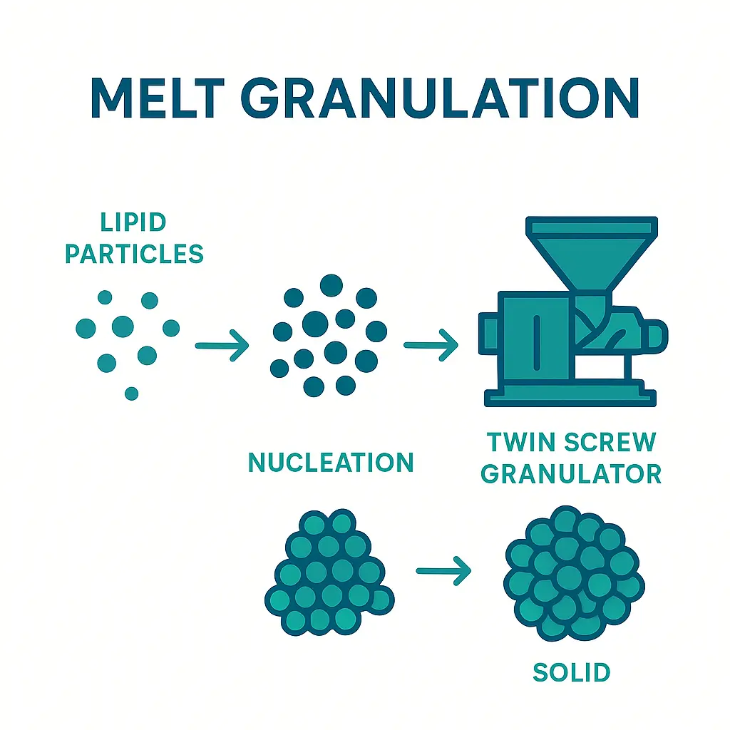 Melt Granulation